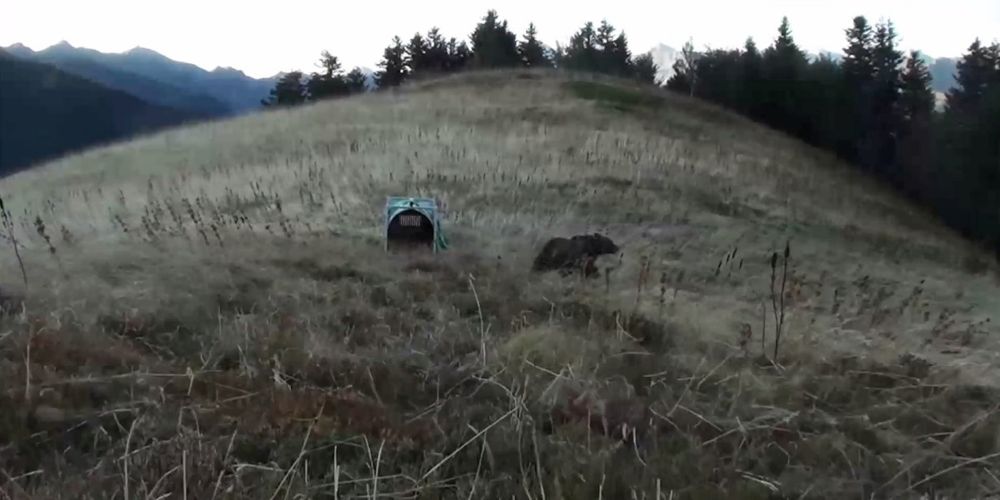 le lâcher de Claverina