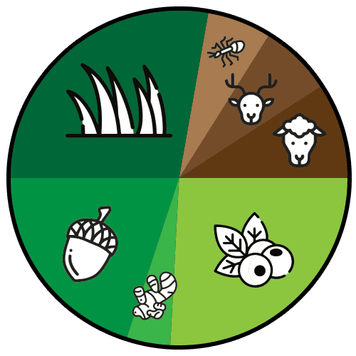 graphique-alimentation