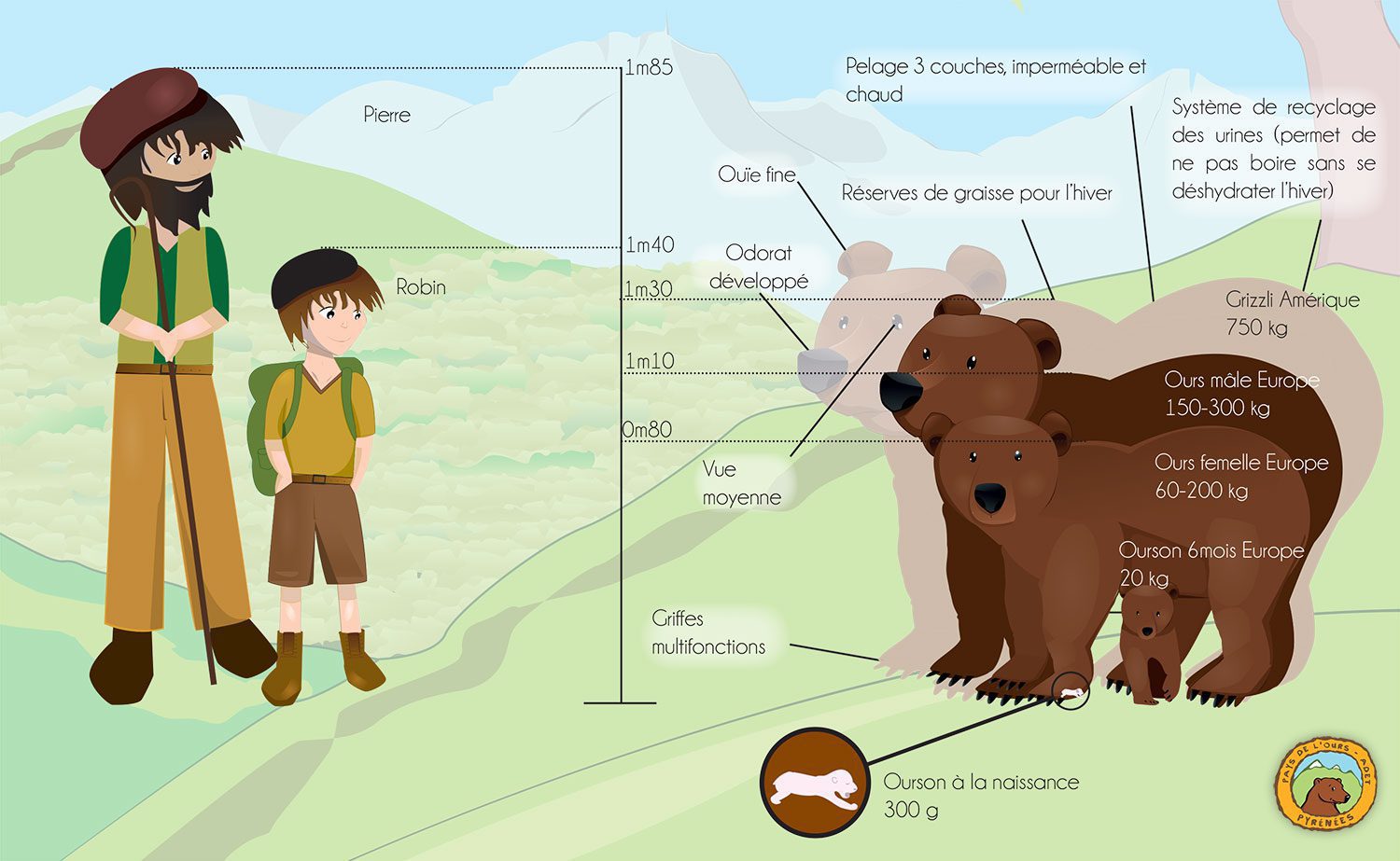 Biodiversité. Territoire, nombre d'individus Ce que l'on sait des ours  dans les Pyrénées