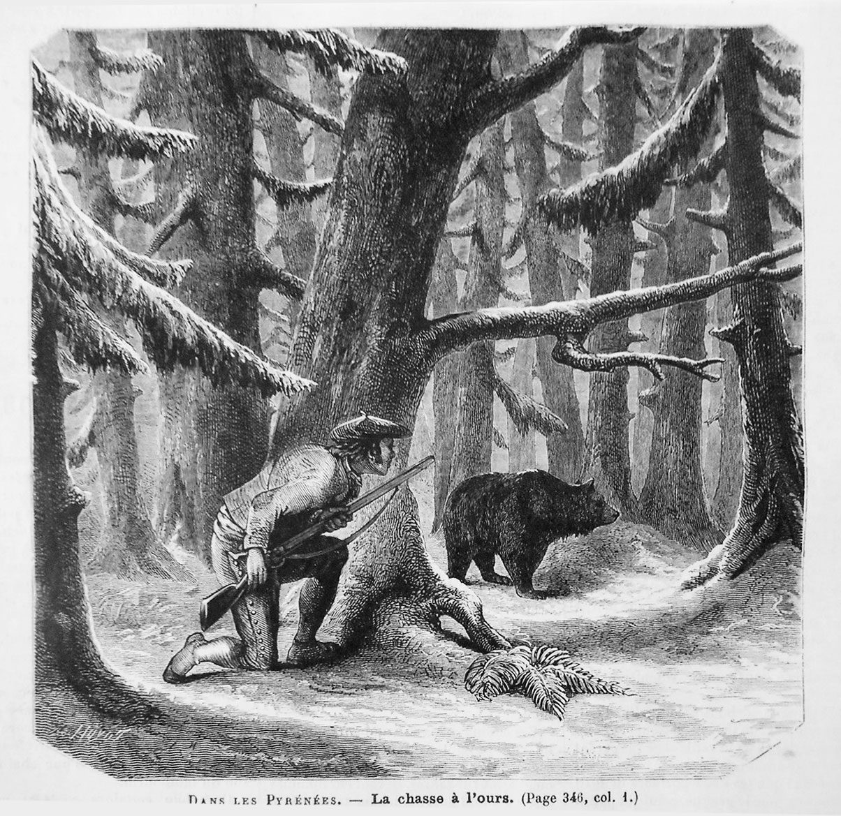 gravure-ancienne-chasseur-ours-1886