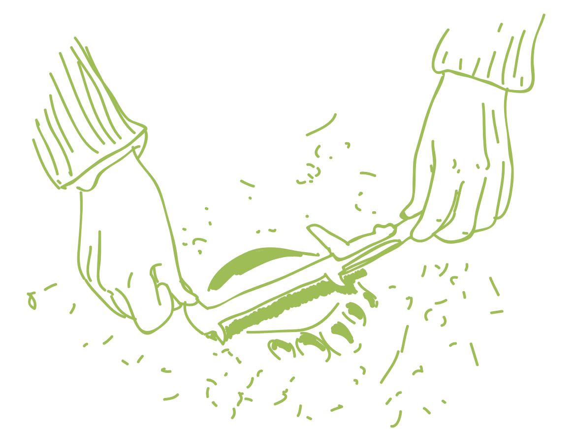 illus-enquete-pays-de-ll-ours