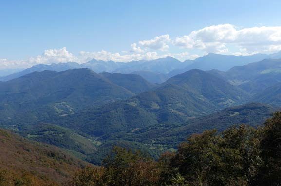 image-en-route-montagne-ours