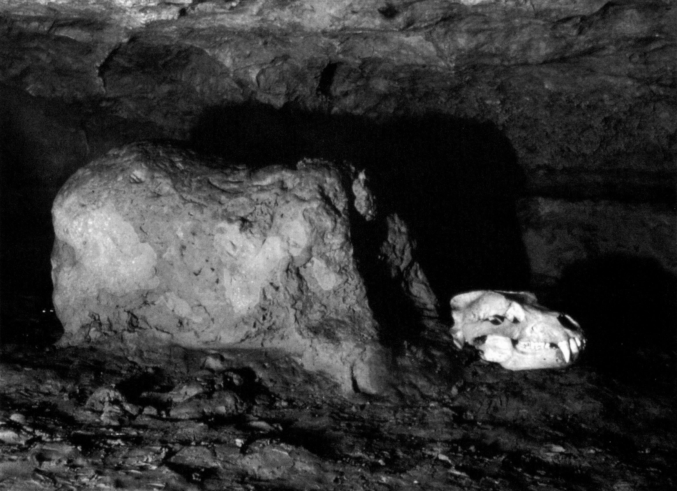 statue ours grotte Montespan 31