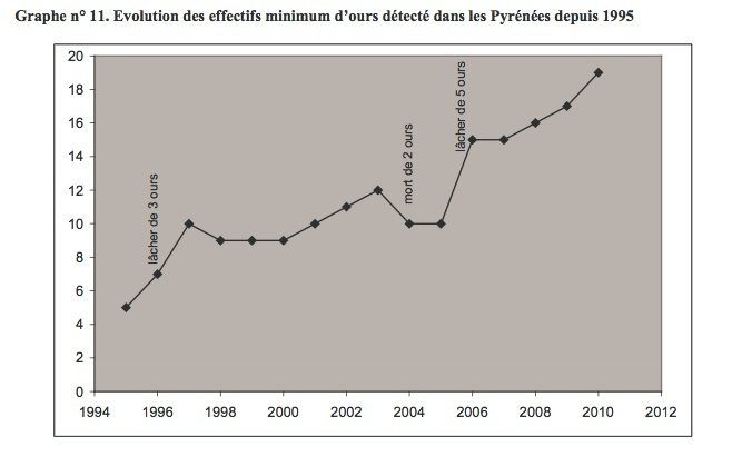 evolution-effectif-ours