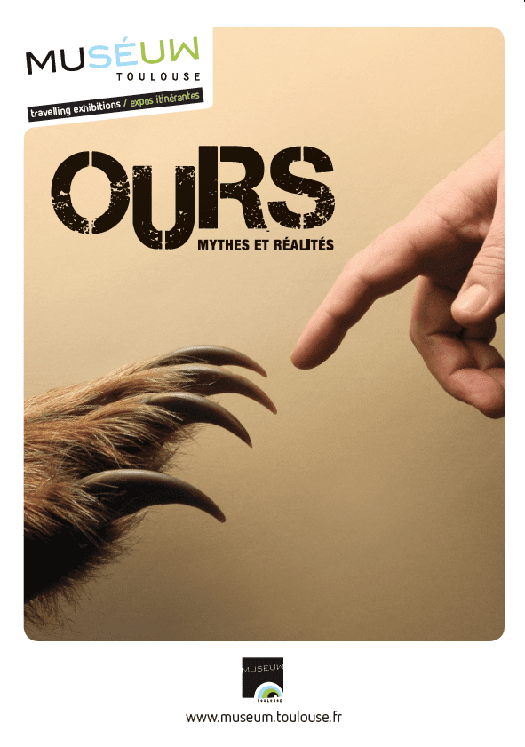 ours visuel