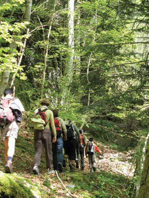 sentier