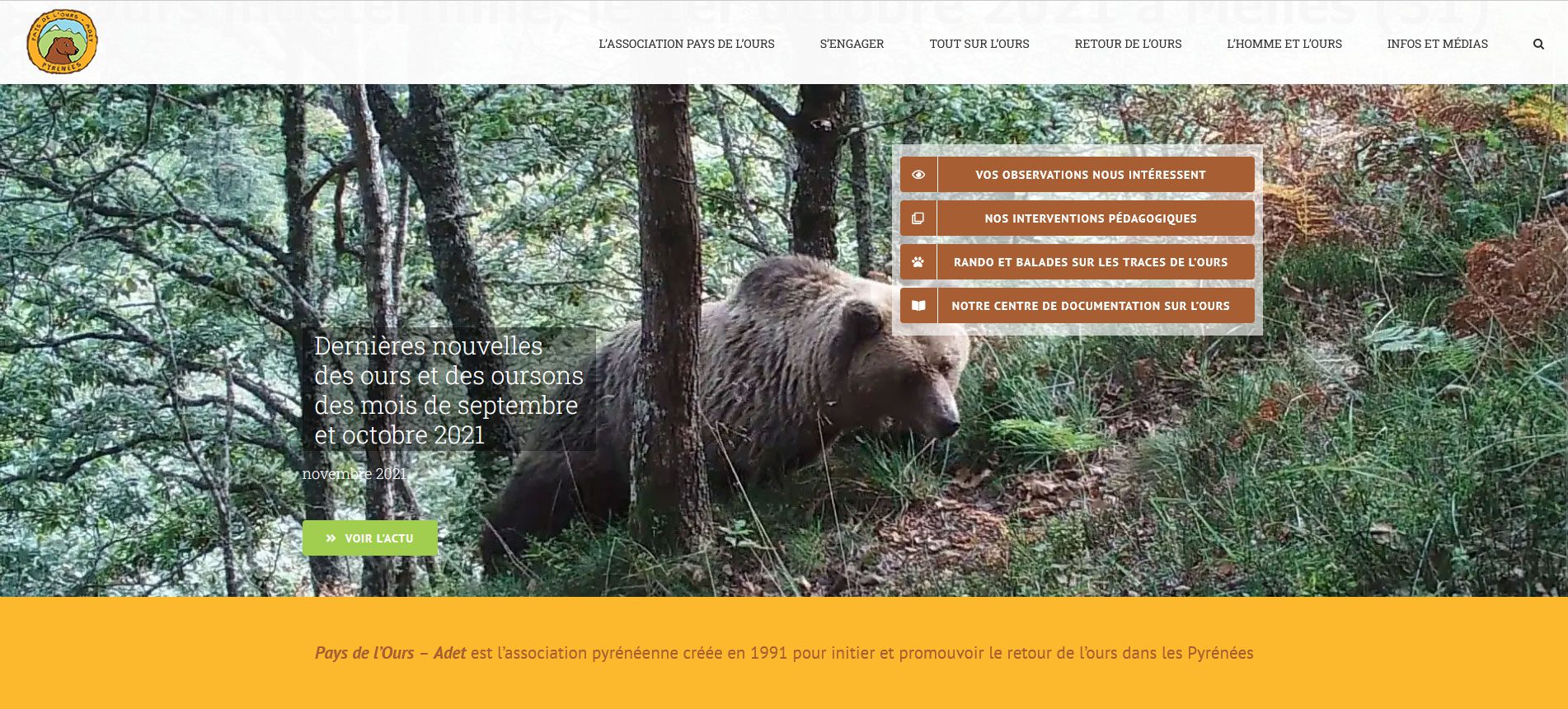 screenshit-site-web