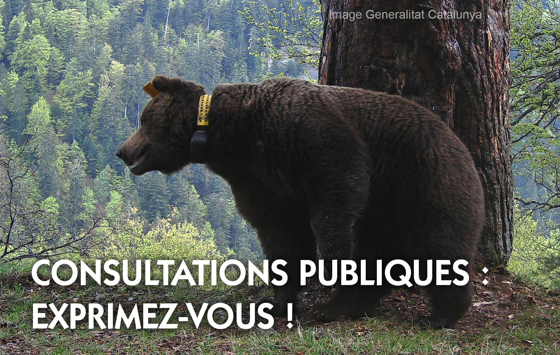 thumb-consultations-publiques-2022