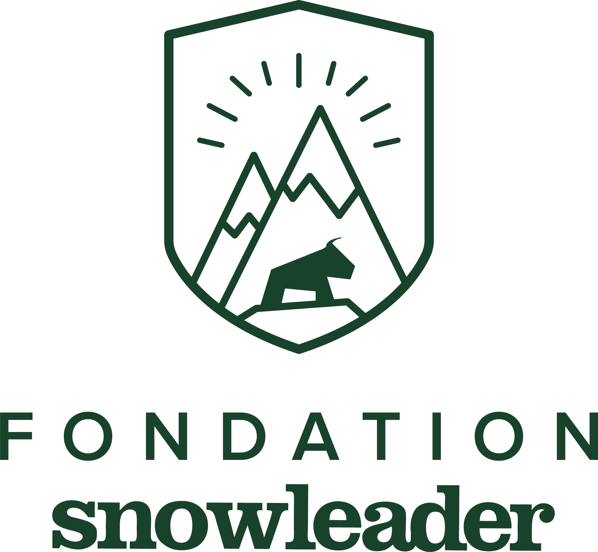 Logo-FondationSNL-CMJN