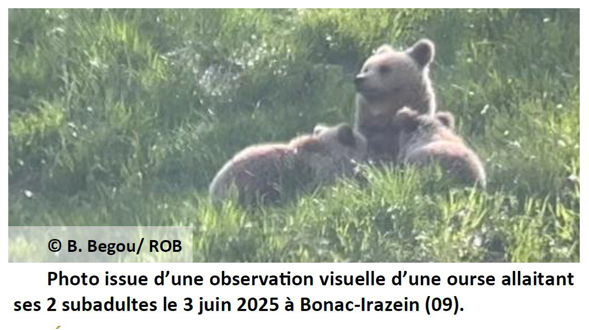Capture d’écran 2025-12-03 181043